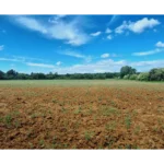 parcelle montmayon (11)