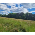 parcelle montmayon (2)